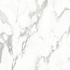 TPX0048 Statuario Marble Texture - Tripix Images