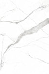 TPX0253 Calacatta Borghini Marble - Tripix Images