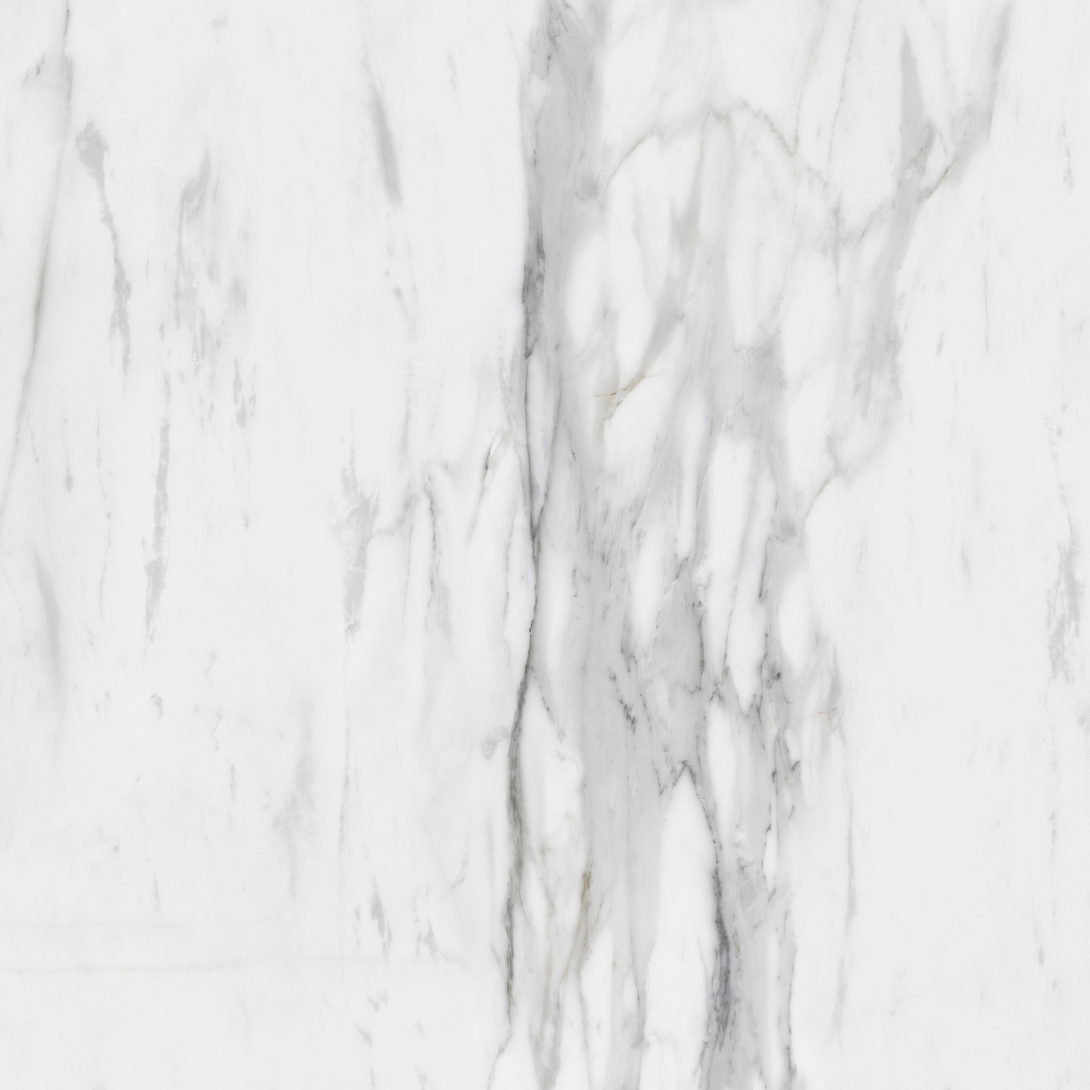 TPX0304 Calacatta Gold Marble