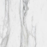 TPX0304 Calacatta Gold Marble
