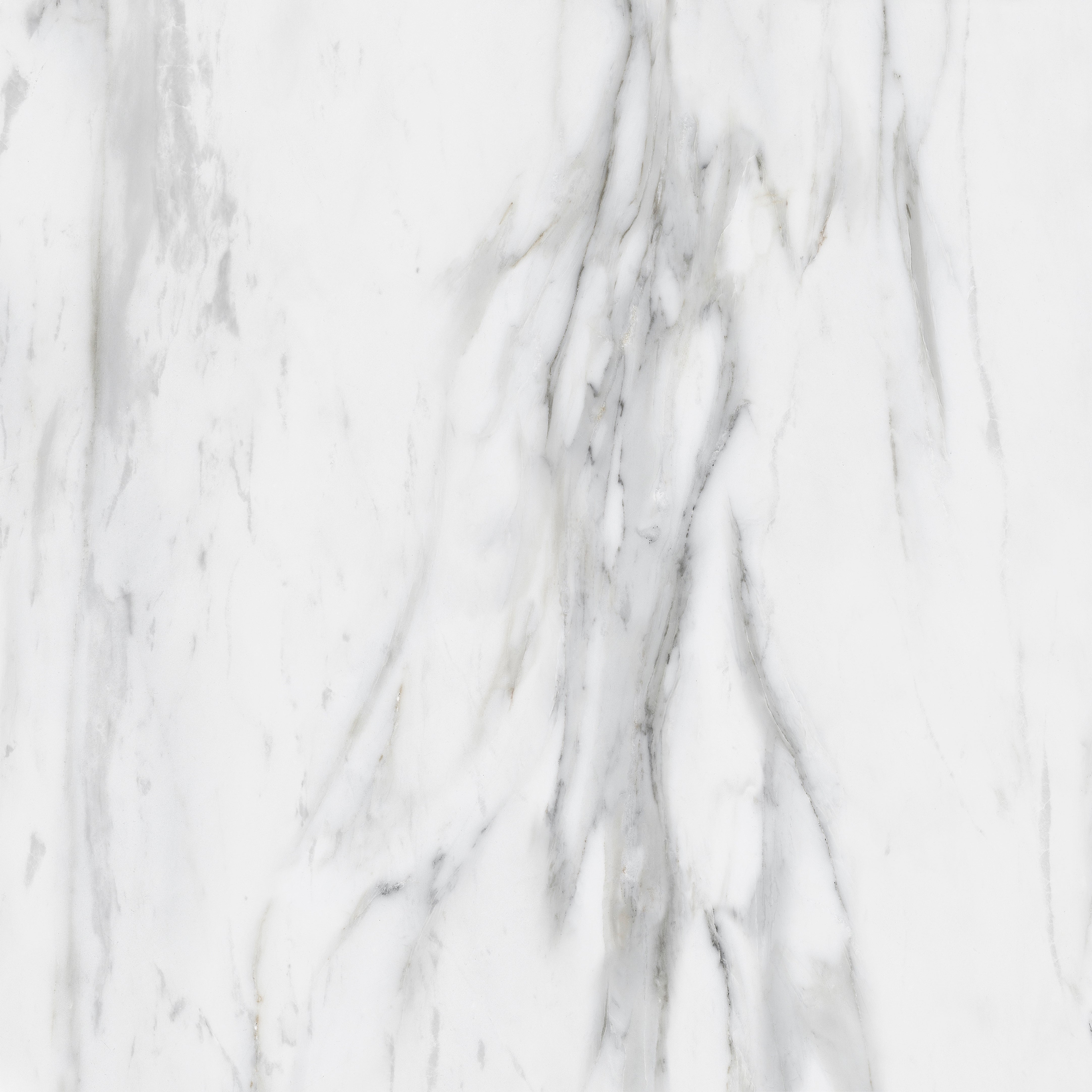 TPX0304 Calacatta Gold Marble