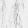 TPX0304 Calacatta Gold Marble - Tripix Images