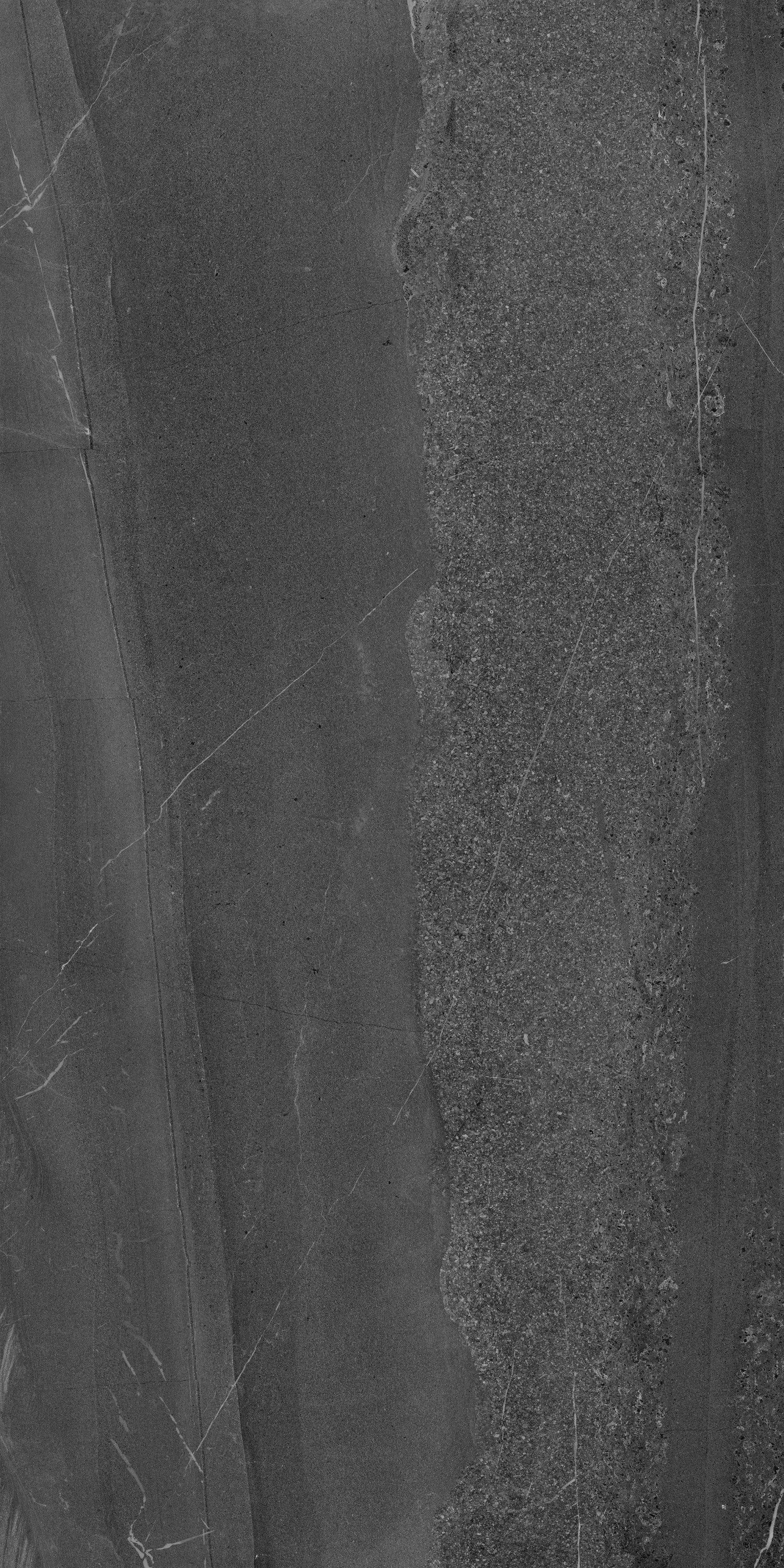 TPX2763