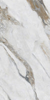 Calacatta Borghini Marble Texture