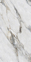 Calacatta Borghini Marble Texture