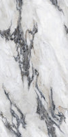 Calacatta Borghini Marble Texture - Tripix Images