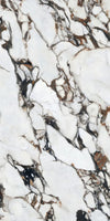 Arabescato Corchia Marble Texture - Tripix Images