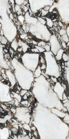 Arabescato Corchia Marble Texture - Tripix Images