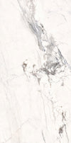 Arabescato White Marble Texture