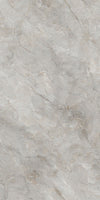 Silver Birch Marble Texture