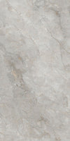 Silver Birch Marble Texture