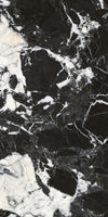 Panda Noir Marble Texture