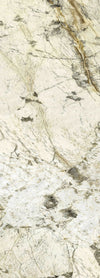 TPX1146 - Tripix Images