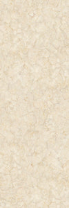 TPX1167 - Tripix Images