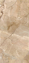 TPX1379 - Tripix Images