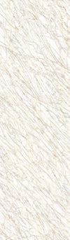 TPX1392 - Tripix Images