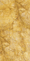 TPX1394 - Tripix Images