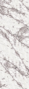 TPX1421 - Tripix Images