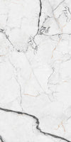 TPX1544 - Tripix Images