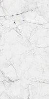 TPX1544 - Tripix Images