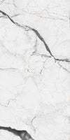 TPX1544 - Tripix Images