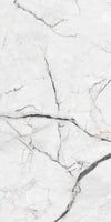 TPX1544 - Tripix Images