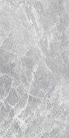 TPX1548 - Tripix Images