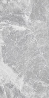 TPX1548 - Tripix Images
