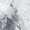 TPX1609 - Tripix Images