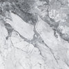 TPX1609 - Tripix Images