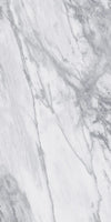 TPX1705 - Tripix Images