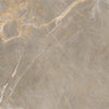 TPX1731 - Tripix Images