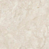 TPX1743 - Tripix Images