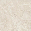 TPX1743 - Tripix Images