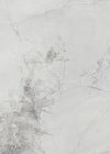 TPX1756 - Tripix Images