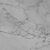 TPX1758 - Tripix Images