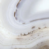 TPX1128 - Tripix Images