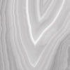 TPX1132 - Tripix Images