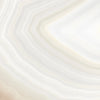 TPX1134 - Tripix Images