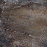 TPX1143