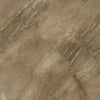 TPX1208 - Tripix Images