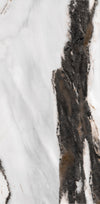 TPX1545 - Tripix Images