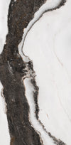 TPX1545 - Tripix Images