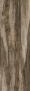TPX2181 - Tripix Images