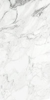 TPX2184 - Tripix Images