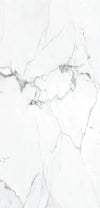 TPX2193 - Tripix Images