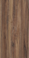 TPX2231 - Tripix Images