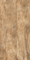 TPX2248 - Tripix Images