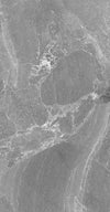 TPX2252 - Tripix Images
