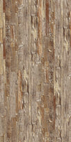 TPX2325 - Tripix Images